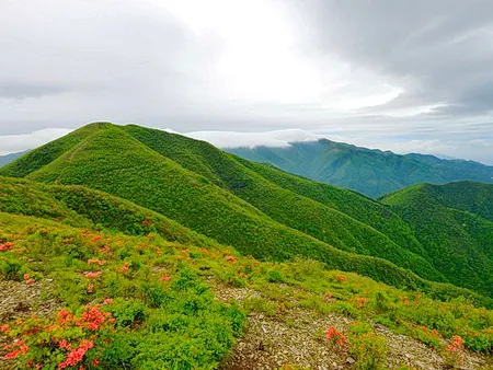 新化大熊山森林公园