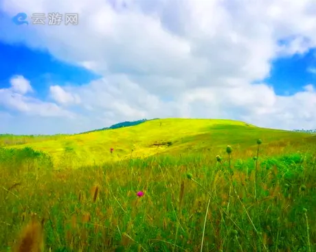 南京六合练山