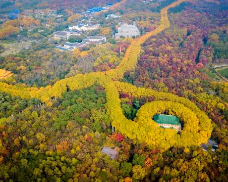 南京紫金山