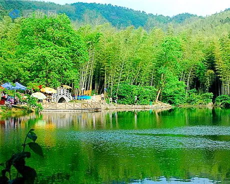 南京石塘竹海风景区