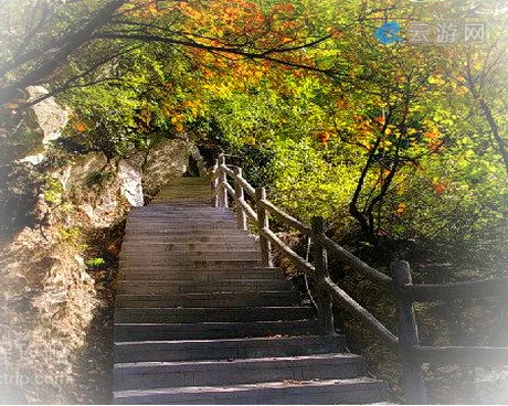 西安太平万花山风景区