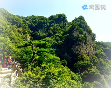 蓝田王顺山森林公园