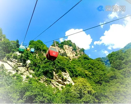 蓝田王顺山森林公园