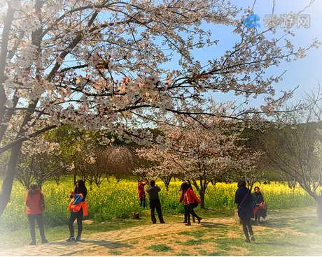 苏州上方山国家森林公园