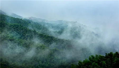 益阳桃花江竹海风景区