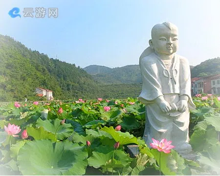 临湘五尖山国家森林公园