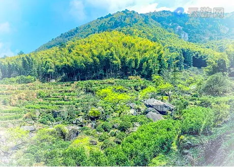 景德镇汪湖生态旅游区