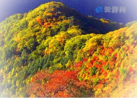 宽甸花脖山景区