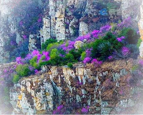 大连大黑山风景区