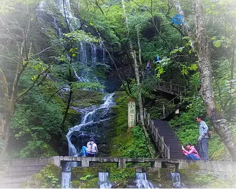 神农架金猴岭景区