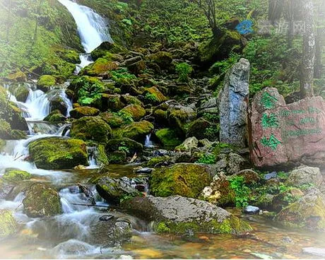 神农架金猴岭景区