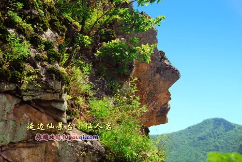 延边仙景台仙人岩