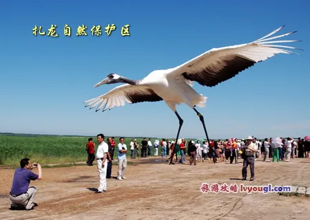 齐齐哈尔扎龙景区