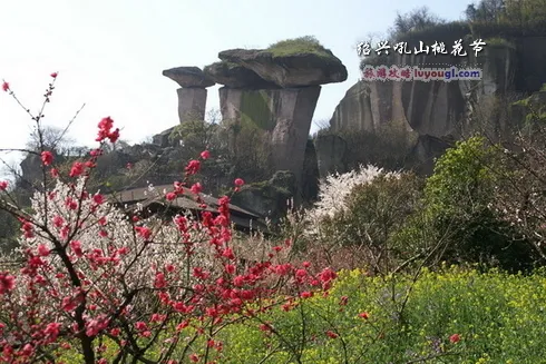 吼山桃花节