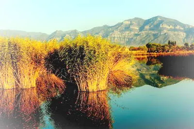 北岳恒山景区湿地公园