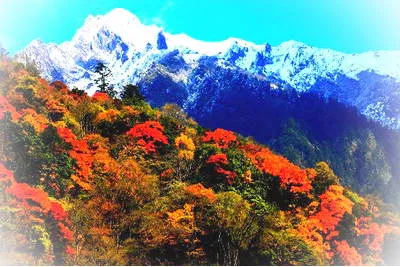 雅安夹金山风景旅游区