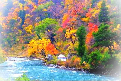 阿坝米亚罗红叶风景区