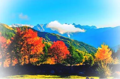 雅安夹金山风景旅游区