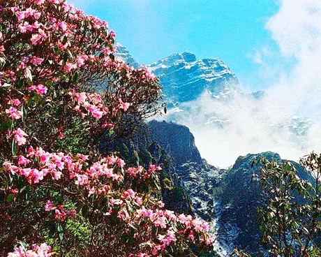 昆明禄劝轿子雪山风景区