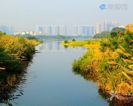 深圳华侨城湿地公园