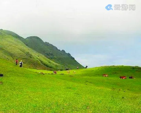 英德天门沟百鸟堂景区