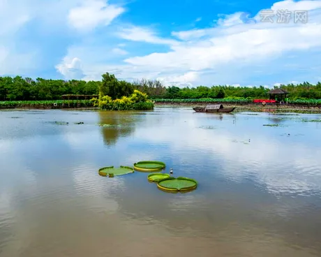 广州南沙湿地公园