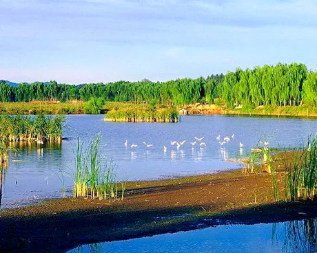 顺义汉石桥湿地公园