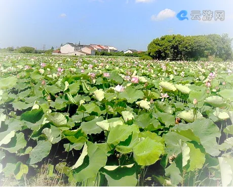 无锡梁鸿湿地公园