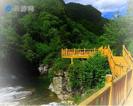 太白黄柏塬风景区