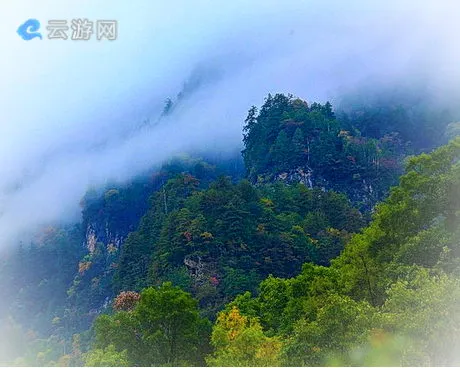 太白黄柏塬风景区