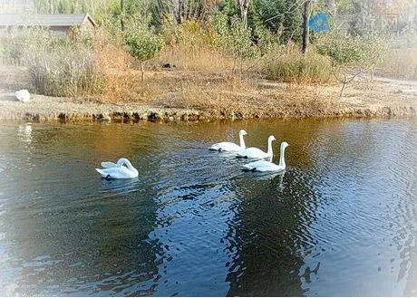 沈阳长白岛森林公园