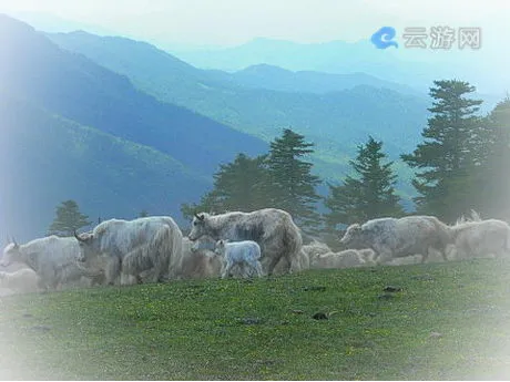 方山神龙沟旅游区