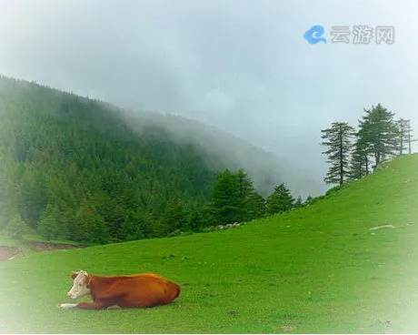 方山神龙沟旅游区