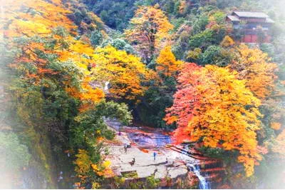 昭通小草坝风景区