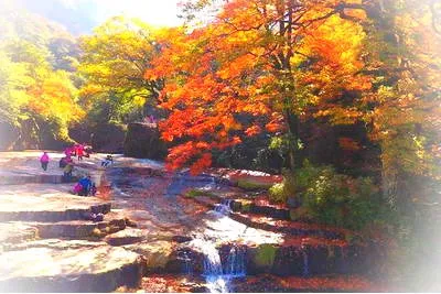 昭通小草坝风景区