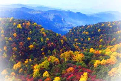 昭通小草坝风景区