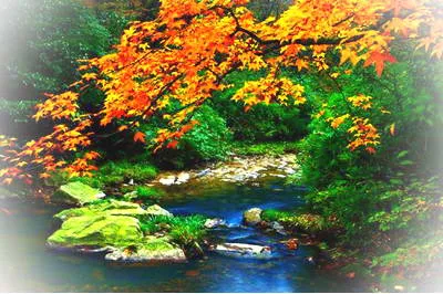 昭通小草坝风景区