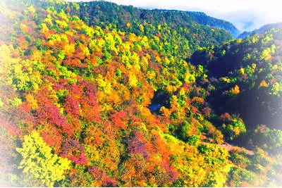 昭通小草坝风景区