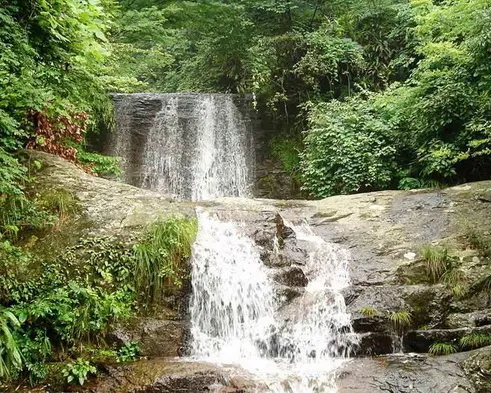 安吉白茶谷九龙峡