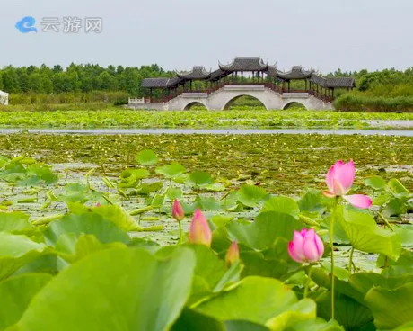 上海海湾国家森林公园