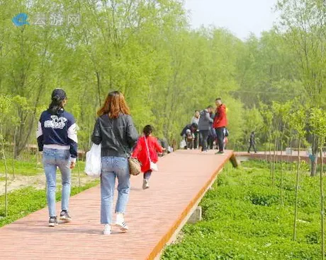 南京黄天荡湿地公园