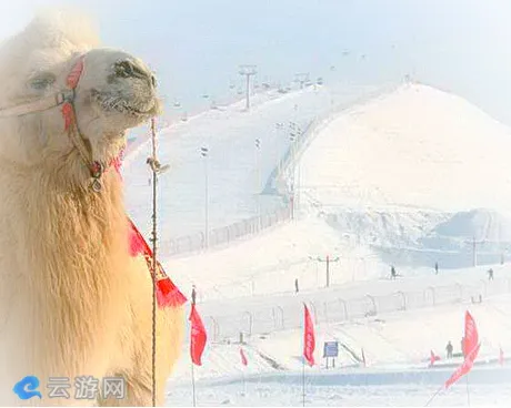 克拉玛依黑油山滑雪场