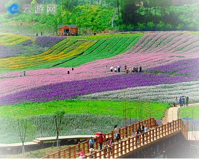 泸州花田酒地景区