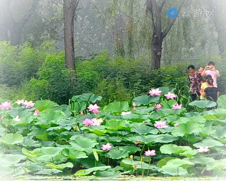 新民仙子湖风景区