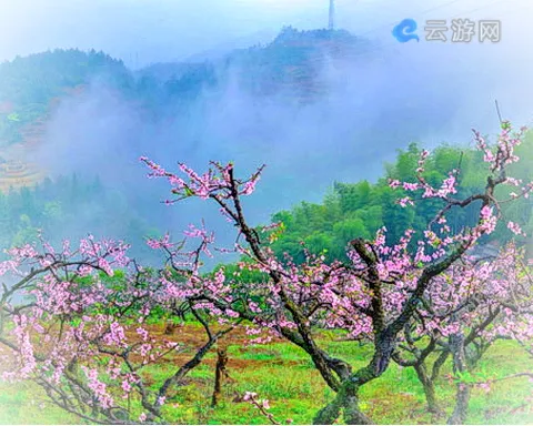 德化桃仙溪景区桃花岛