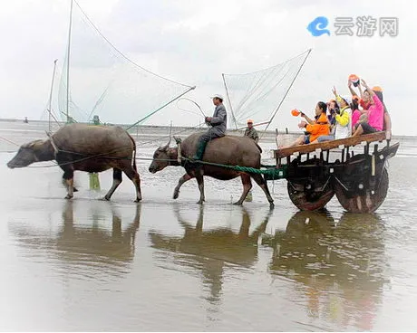 如东海上迪斯科休闲旅游区