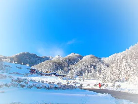 栾川伏牛山滑雪度假乐园