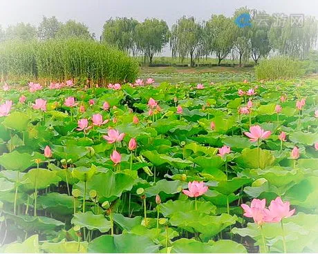 铁岭莲花湖景区