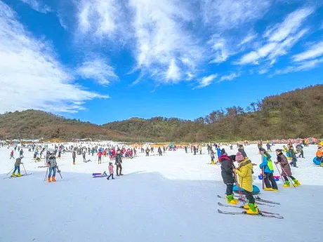 奉节茅草坝滑雪场