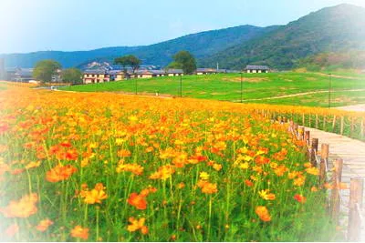 无锡灵山拈花湾小镇景区